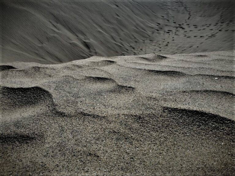 Las Dunas de Maspalomas