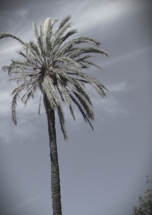 Parc de la Ciutadella