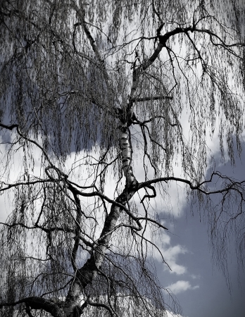Friedenspark