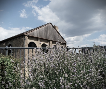 Flowers at Coal Drops Yard