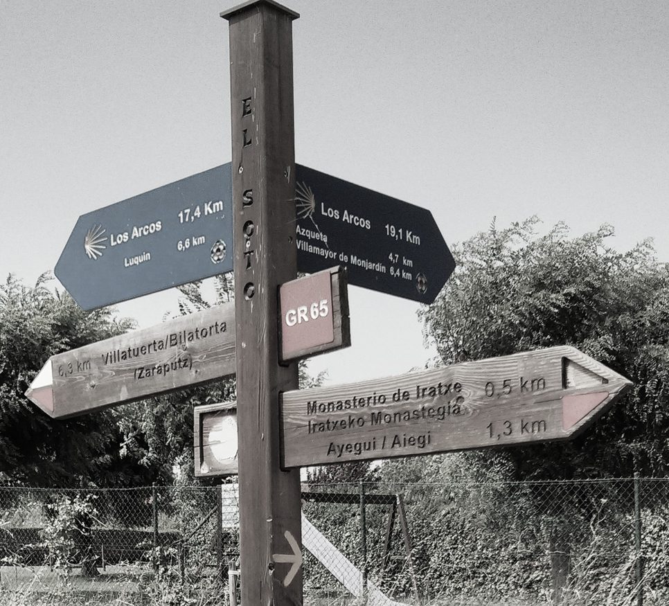 Wooden signpost on a hiking trail
